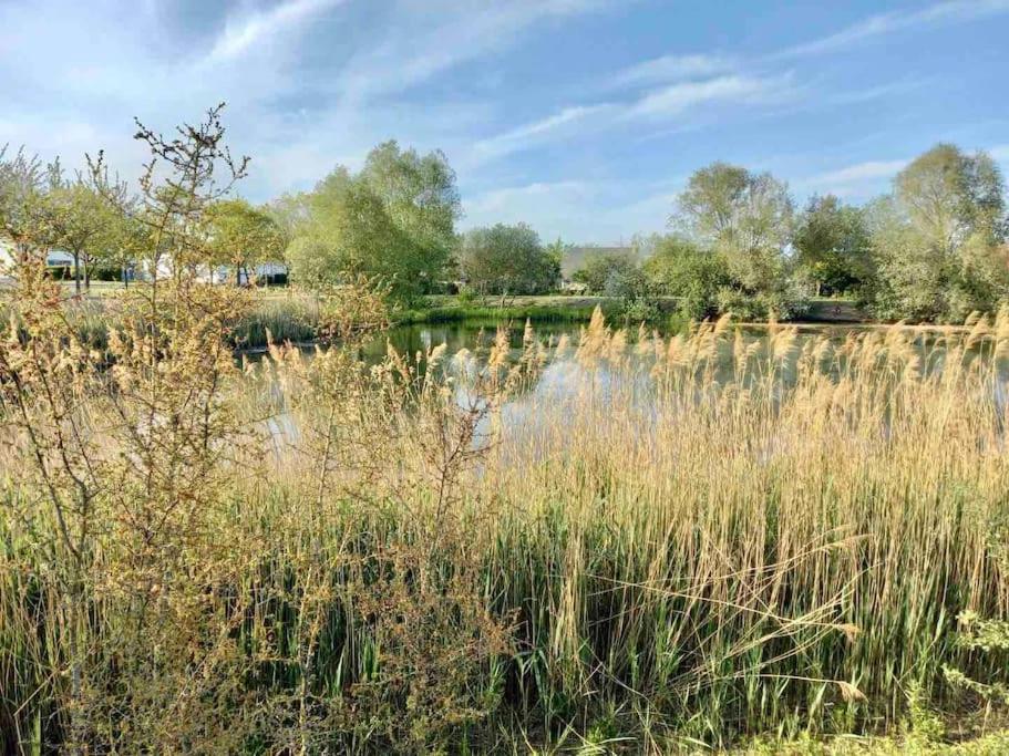 Le Domaine Reserve , Parking Et Ecrin De Verdure Amiens Exterior photo