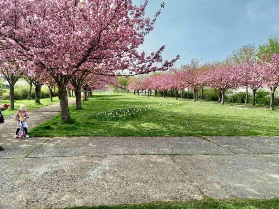 Le Domaine Reserve , Parking Et Ecrin De Verdure Amiens Exterior photo